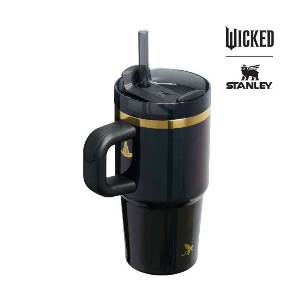 Stanley Wicked 2025 Elphaba for Good 20oz Flowstate Quencher Tumbler LE NWT SO - Picture 5 of 7